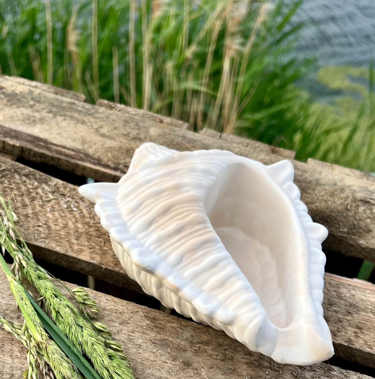 maritime Deko / Badezimmerdeko / Muschel / Schmuchschale
