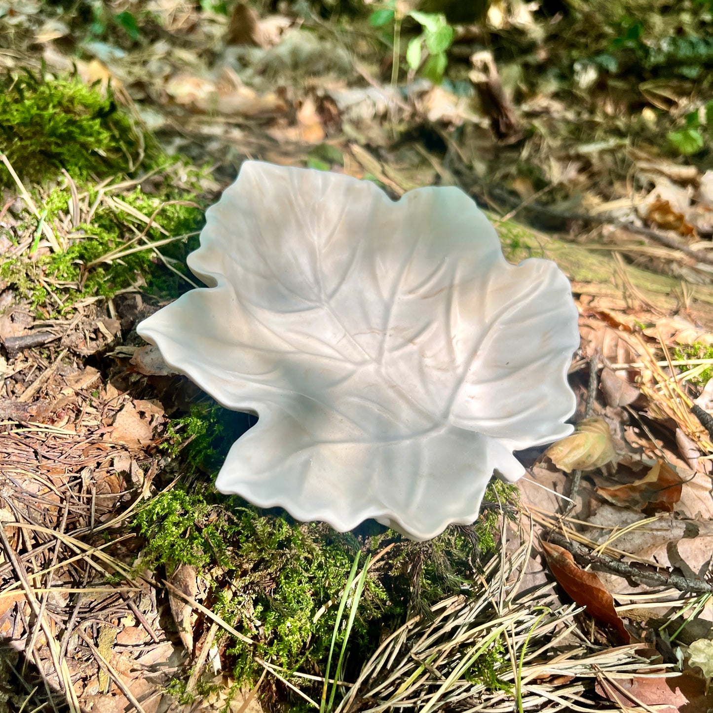 Dekoteller / Blatt / Schmuckschale /Dekoschale / Ringschale