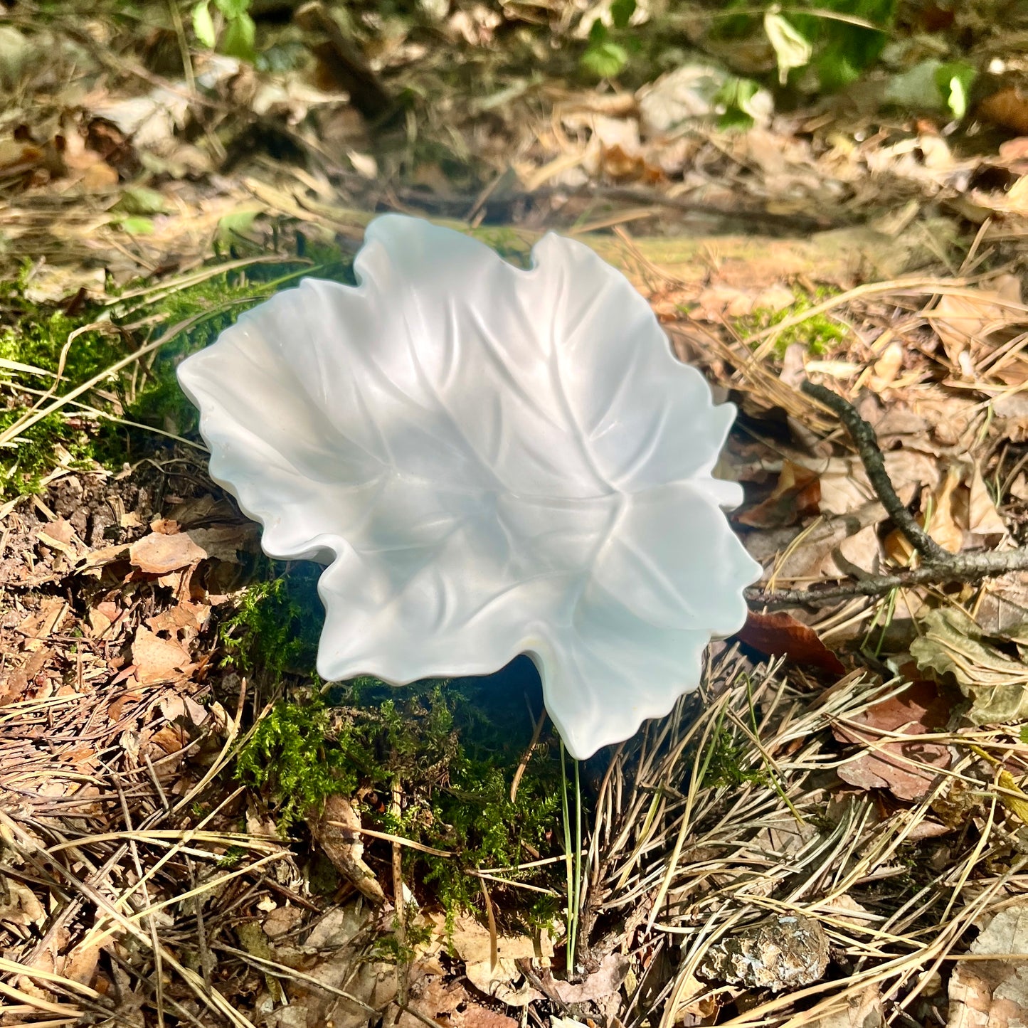 Dekoteller / Blatt / Schmuckschale /Dekoschale / Ringschale