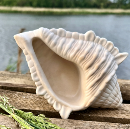 maritime Deko / Badezimmerdeko / Muschel / Schmuchschale