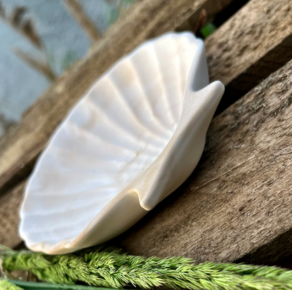Schmuckschale / Muschel /Dekoschale / Ringschale